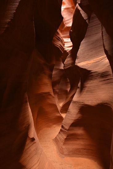 Red sandstone of the Moenkopi Formation