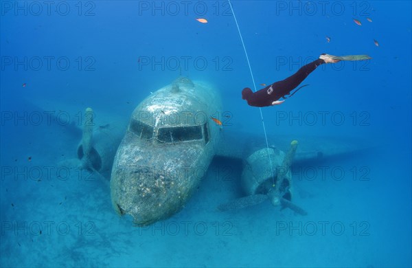 Freediver at plane wreck Douglas Dakota