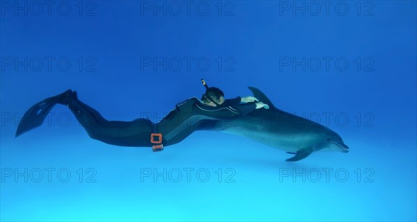 Freediver and Bottlenose dolphin (Tursiops truncatus)