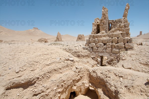 Tower tomb in the ancient city of Palmyra