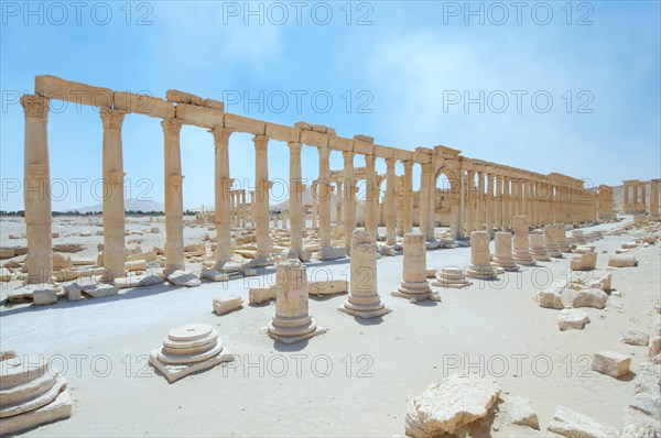 The ruins of the ancient city of Palmyra