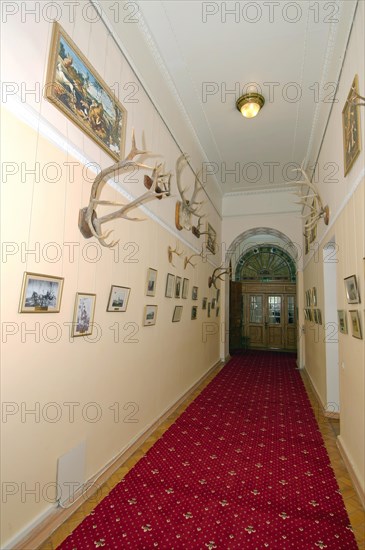 Room of trophies