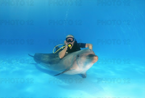 Scuba diver and a Bottlenose Dolphin (Tursiops truncatus)