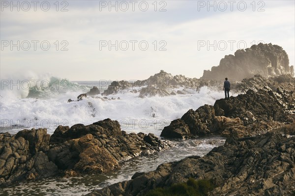 Rocky coast