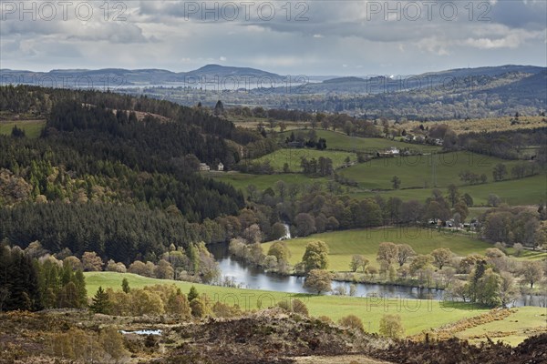 Looking along Strathglass