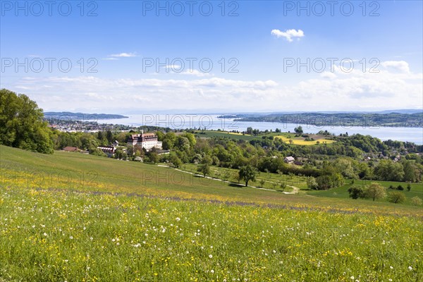 Schloss Spetzgart Castle above Ueberlingen with Lake Constance and the Alps