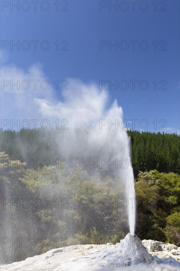 Lady Knox Geyser