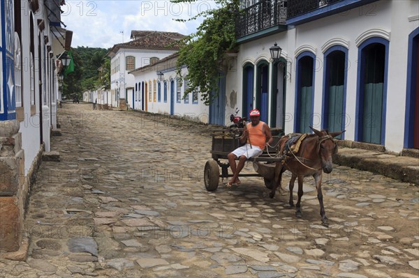 Man on a horse cart in the historic centre