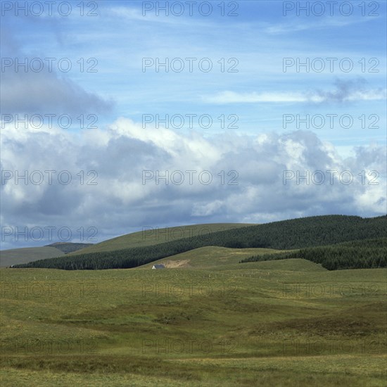 Green hilly landscape of Cezallier in the Parc Naturel Regional des Volcans d'Auvergne