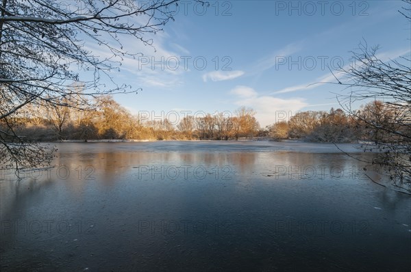 Frozen Moenchbruch pond