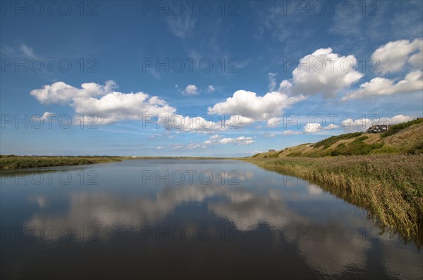 Ringkøbing Fjord
