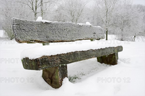 Bench in the snow