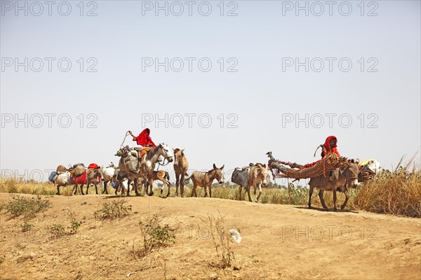 Choa nomads with donkeys and horses at Maga Dam