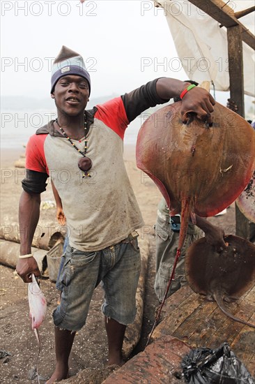 Fisherman holding up a Stingray (Dasyatis) in the fishing port