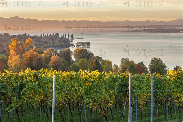 Lake Constance with an Alpine panorama at sunrise