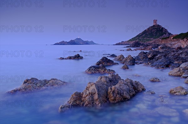 The genoese tower Tour de la Parata at the right and the islands Les Iles Sanguinaires behind the rocky mediterranean coast at the blue hour before sunrise. Les Iles Sanguinaires are in the department Corse-du-Sud