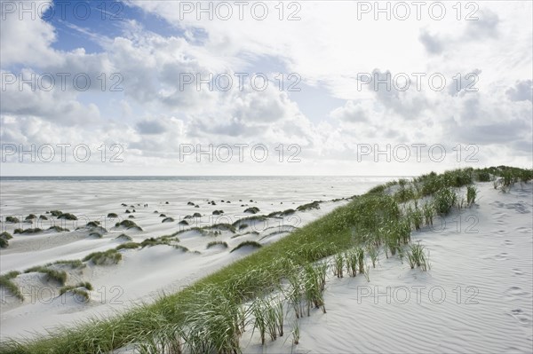 Dunes and a white sandy beach