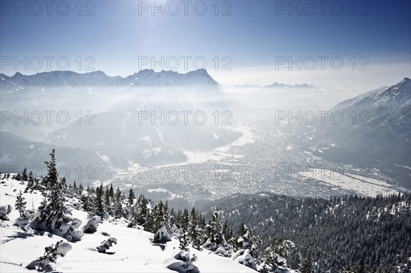 Winter landscape with snow-covered fir trees and the sun