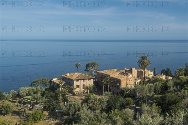 Houses and palm trees by the sea