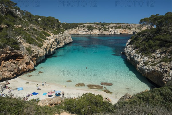 Bay with a sandy beach and pine trees