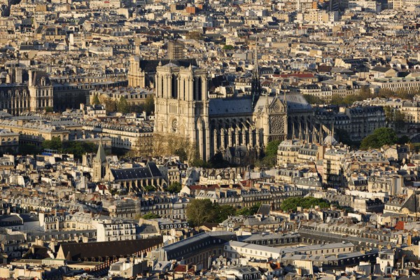 City view with Notre Dame Cathedral