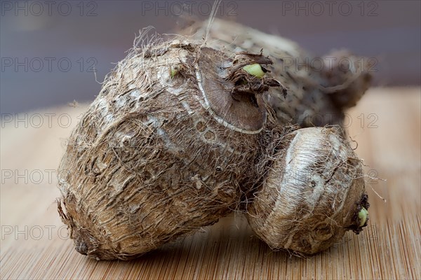 Taro or Eddoe corm (Colocasia esculenta)