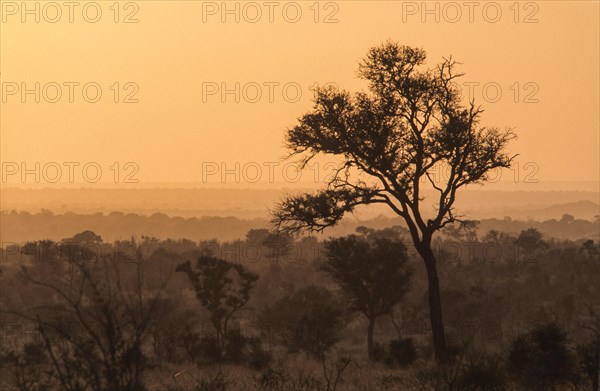River landscape in the southern Kruger National Park