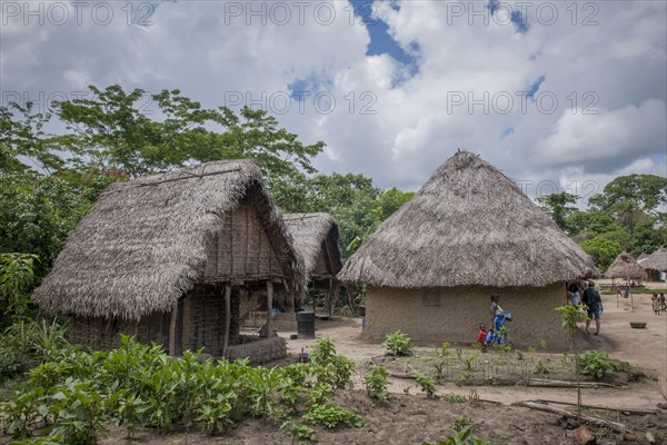 Houses in a village on the Moa River