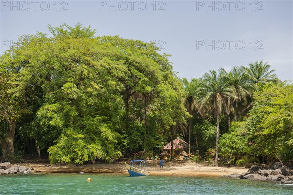 Sandy beach under tropical trees