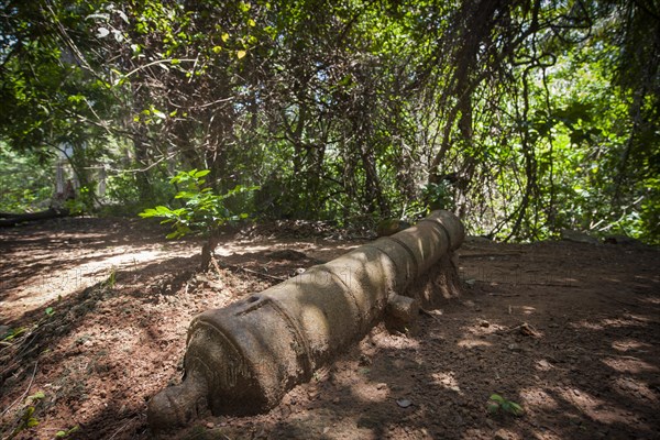 Old cannon as a relic of the colonial era in the jungle