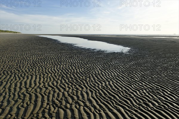 Beach at low tide