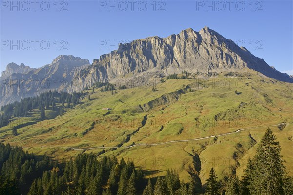 Autumnal alpine meadows at Pragelpass