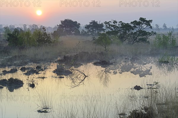 Rewetted bog