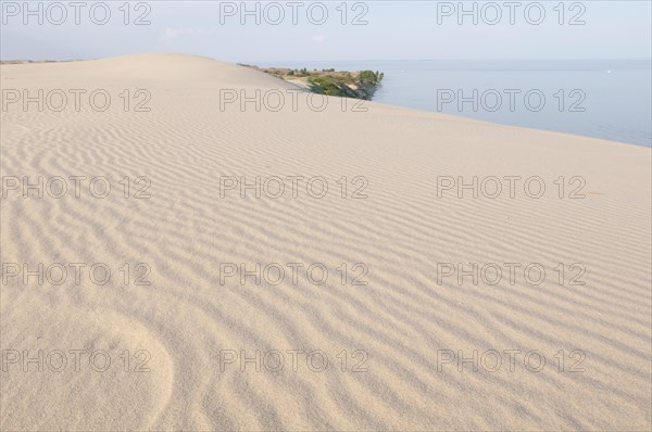 Wandering dune