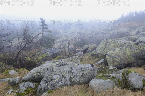 Rocks on Mt Brocken