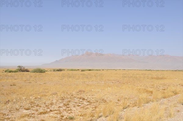 Landscape near Brandberg