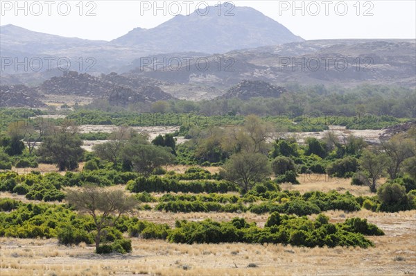 The dry river bed of the Ugab river