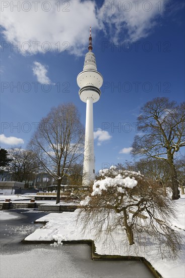 Frozen ponds in "Planten un Blomen" park