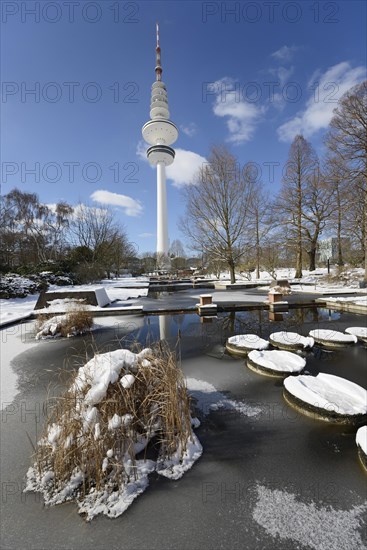 Frozen ponds in "Planten un Blomen" park