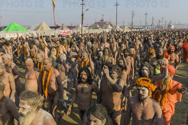 Crowds of naked Naga sadhus