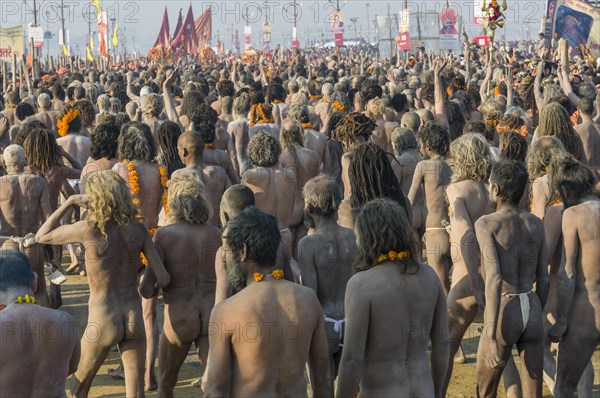 Crowds of naked Naga sadhus