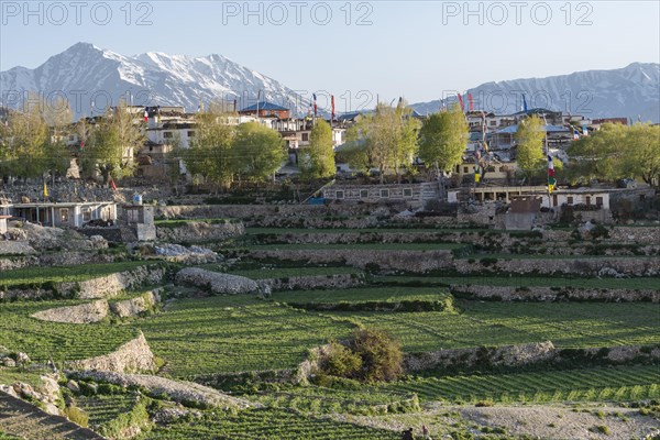 The village of Nako surrounded by green fields and snow covered mountains