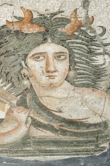 Thalassa mosaic