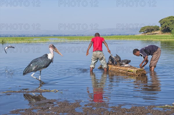 Fishermen and Marabou Stork (Leptoptilos crumeniferus)