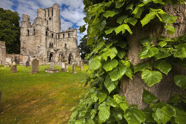 Kelso Abbey