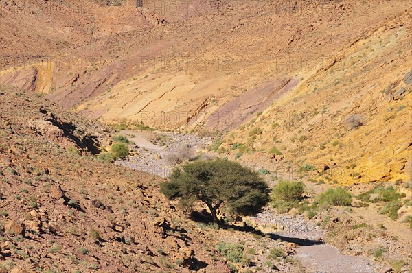 Typical landscape with a dry river bed