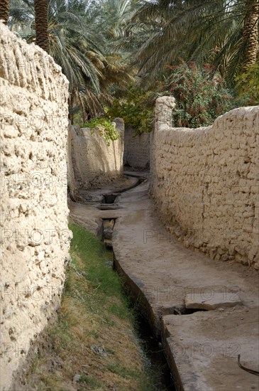 Irrigation canal in a lane