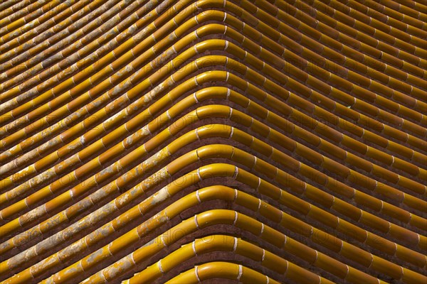Roof tiles of a pagoda at the Summer Palace