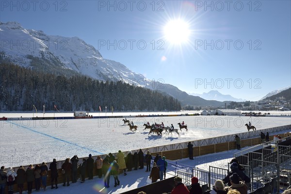 Polo tournament