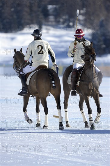 Polo tournament